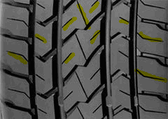 Lassa COMPETUS HL (1)